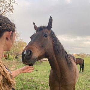 Meet your Posher, Hailey